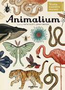 Animalium