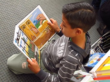 Dino -historias Una Lectura Adictiva